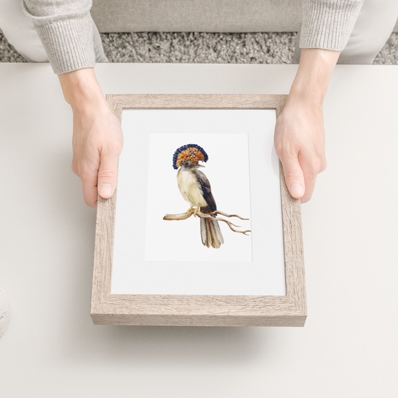 Flycatcher Bird Wall Art Watercolor Illustration Print Poster Card Unframed - Picture 3 of 7